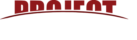 Project Dusk Logo